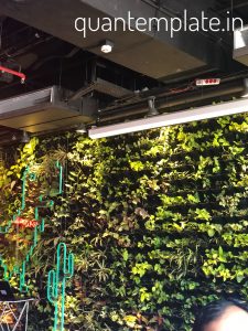 Flea bazaar cafe - green wall